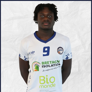 Julien Mallegol